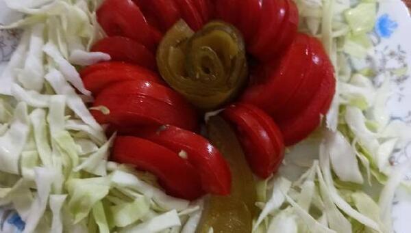 عکس های تزیین خیارشور