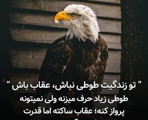عکس نوشته با عقاب