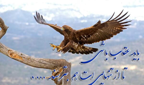 عکس نوشته با عقاب