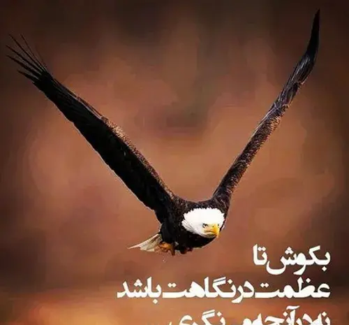 عکس نوشته با عقاب