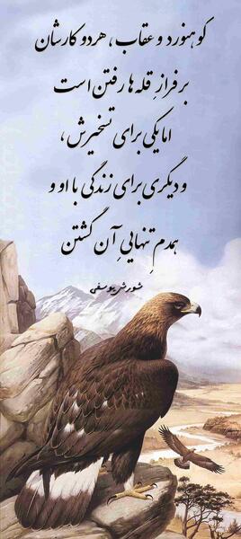 عکس نوشته با عقاب