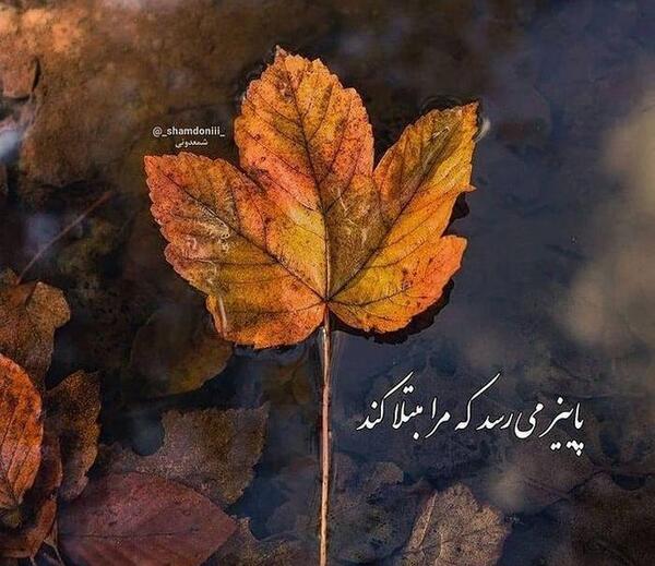 عکس نوشته ای پاییز
