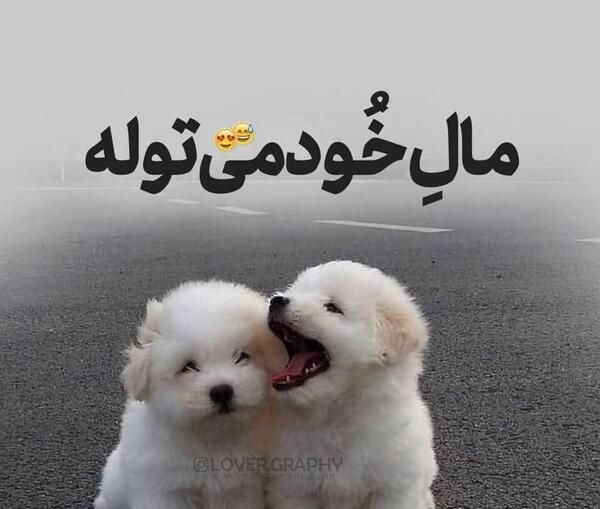 عکس نوشته تو فقط مال خودمی