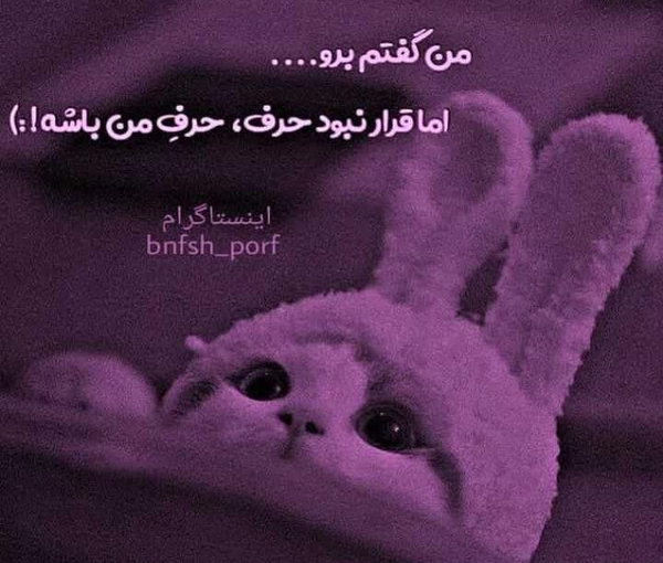 عکس نوشته من گفتم برو تو چرا رفتی