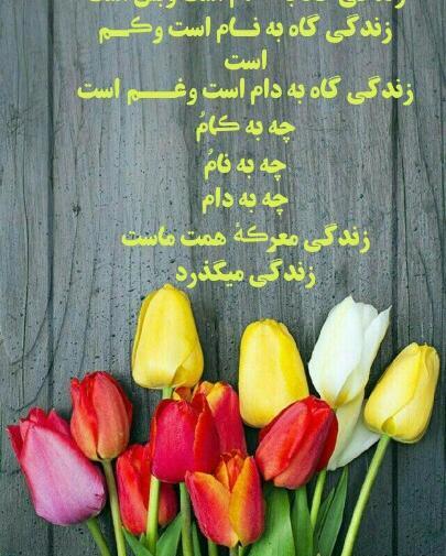 عکس نوشته زندگی گاه به کام است و بس است