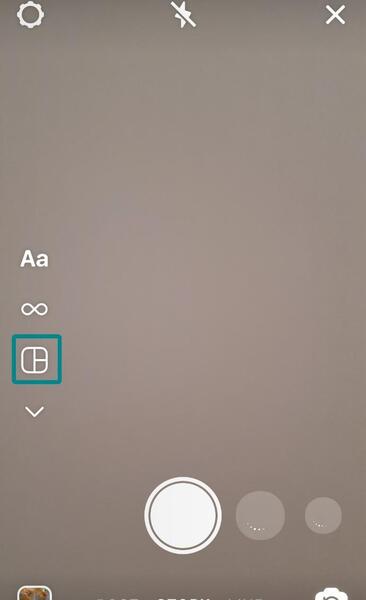 عکس چند تا میمون کنار هم