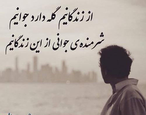 عکس نوشته چرا عاقل کند کاری که باز آرد پشیمانی