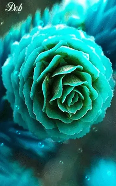 عکس گل طبیعی متحرک