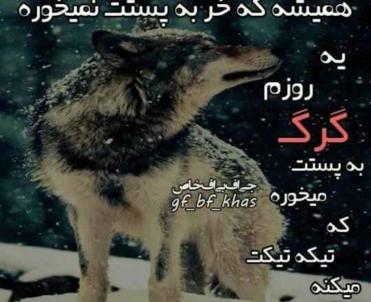 عکس نوشته تو فکر کن زرنگی