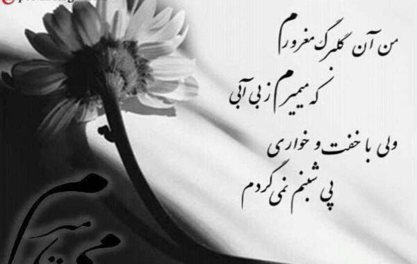 عکس نوشته من آن گلبرگ مغرورم