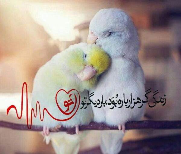 عکس نوشته وقتی برای اولین بار دیدمش