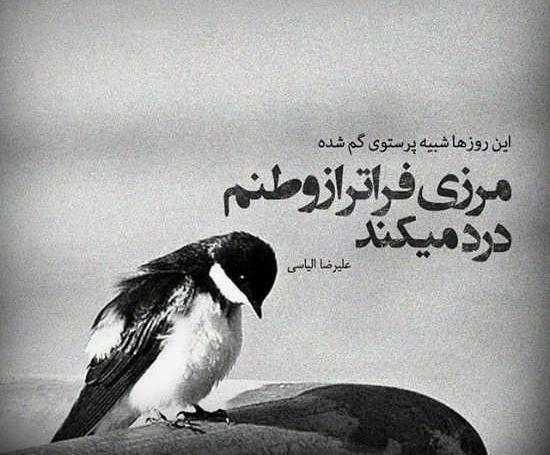 بهترین عکس پروفایل سنگین