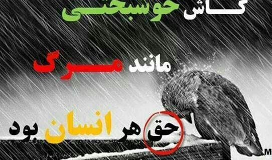 عکس نوشته کاش خوشبختی هم مثل مرگ سهم همه بود