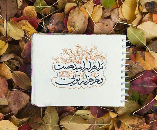 عکس نوشته ای من به فدای دل دیوانه پسندش