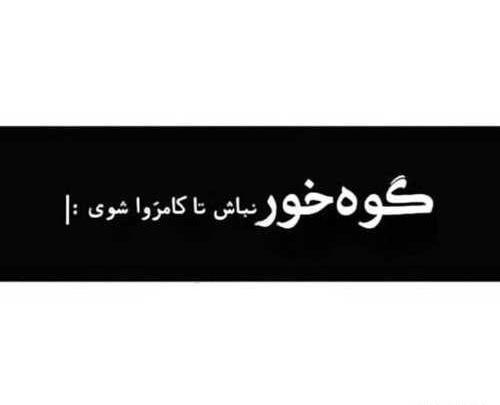 عکس نوشته زندگی گوهی