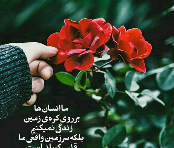 عکس نوشته تو آخرین طبیبی