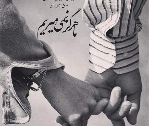 عکس نوشته من عاشقتم
