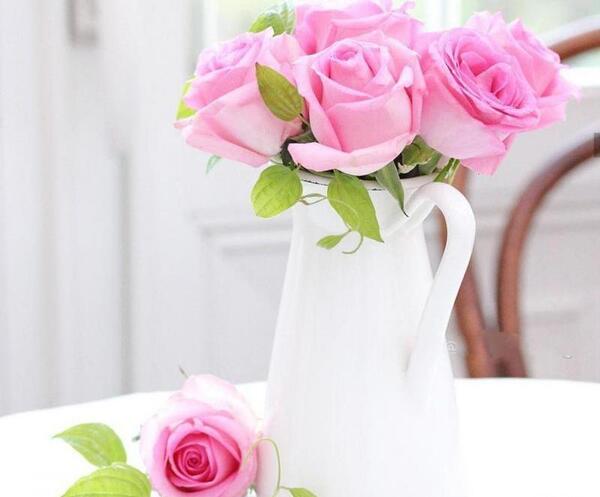 عکس گل طبیعی تو گلدون
