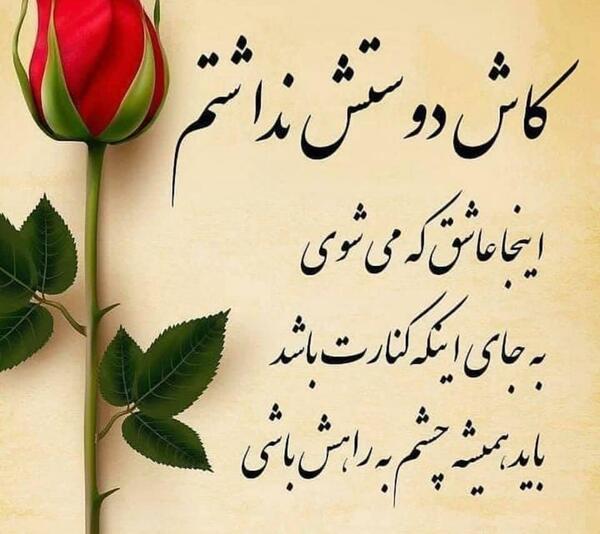 عکس نوشته کاش دوستت نداشتم