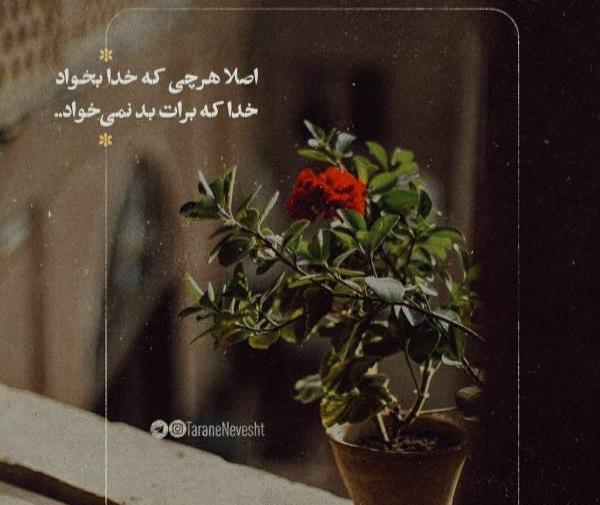 عکس نوشته هرچی خدا بخواد همون میشه