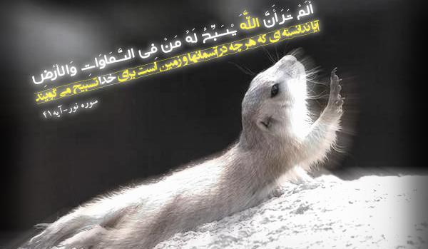 عکس نوشته های آیه قرآنی