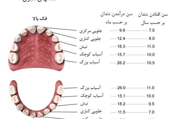 عکس نوشته افتادن اولین دندان شیری