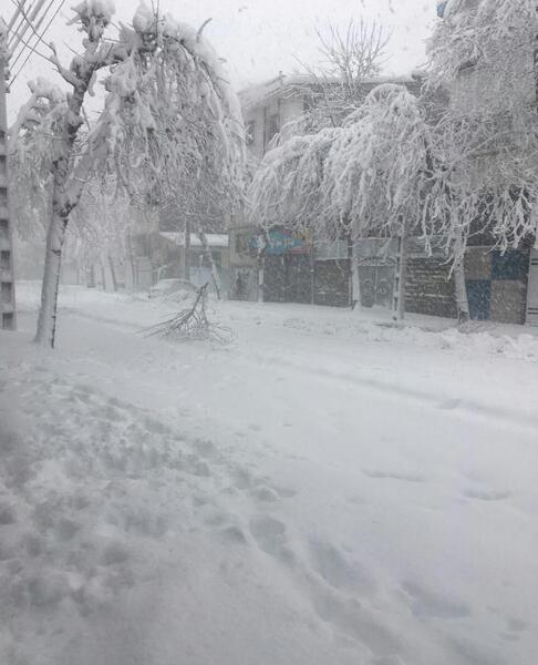 عکس برف شدید