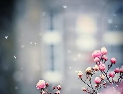 عکس نوشته ملکا ذکر تو گویم