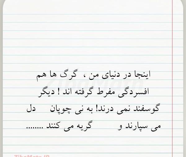 عکس نوشته من اینجا ریشه در خاکم