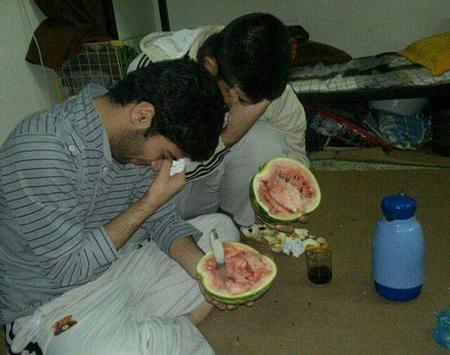 عکس های خیلی خنده دار از گربه ها