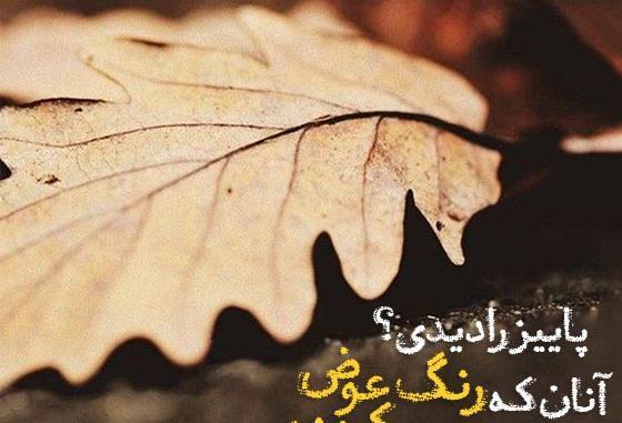 عکس نوشته چرا آدما عوض میشن