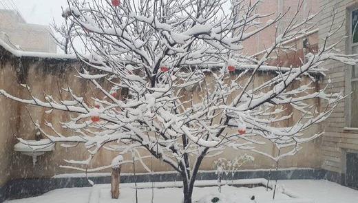 عکس حیاط برفی