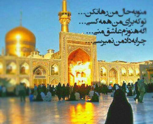 عکس نوشته میشه ضامنم بشی