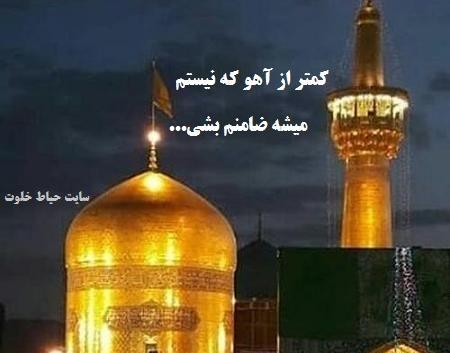 عکس نوشته میشه ضامنم بشی
