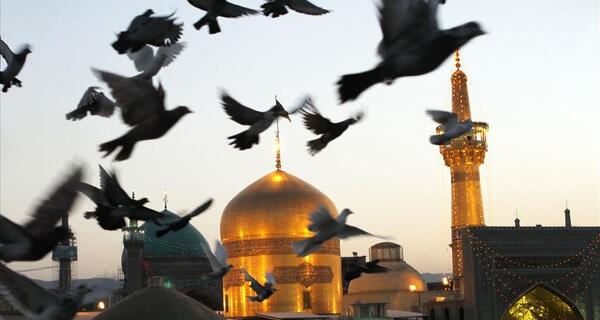 عکس نوشته میشه ضامنم بشی
