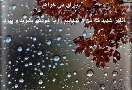 عکس نوشته اولین بارون پاییزی