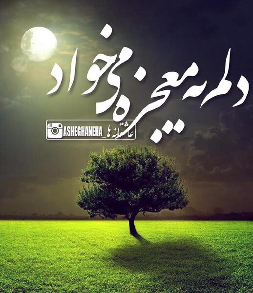 عکس نوشته خدا دلم معجزه میخواد