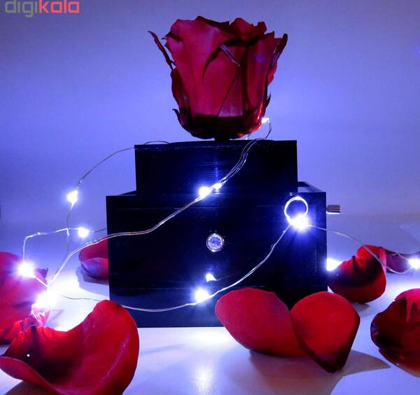 عکس گل طبیعی برای استوری