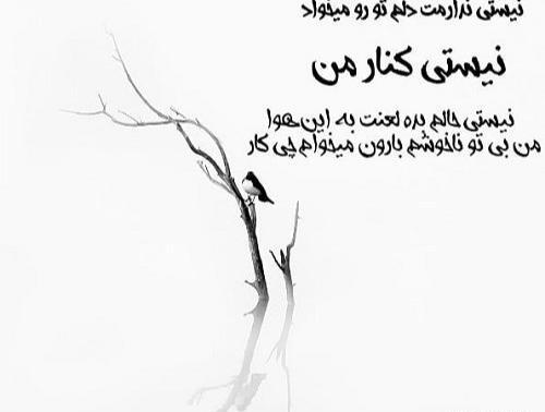عکس نوشته تو جای من نیستی