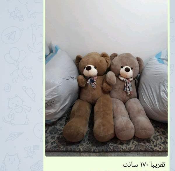 عکس عروسک خرس کوچولو