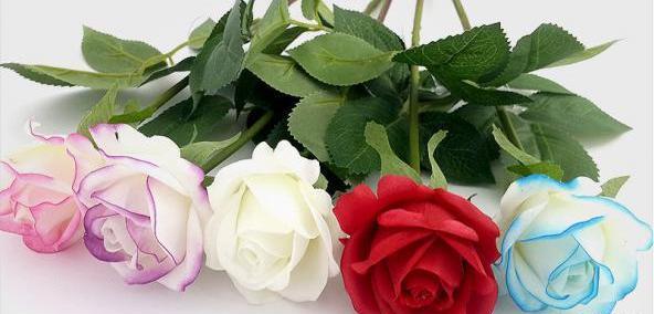 عکس گل طبیعی و مصنوعی