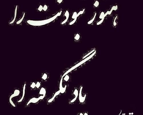 عکس نوشته چگونه باور کنم نبودنت را