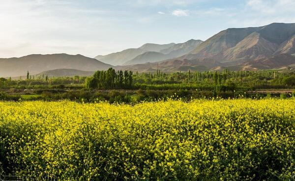 عکس طبیعت نیشابور واقعی