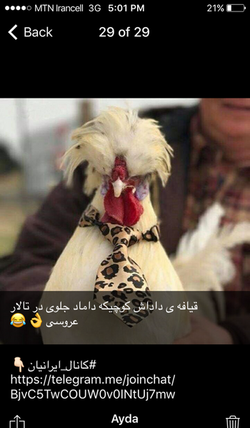 عکس نی نی طنز جدید