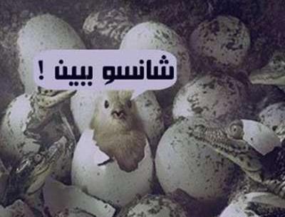 عکس نوشته چرا شانس ندارم