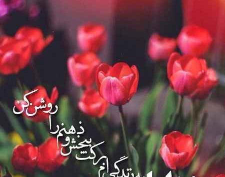 عکس بدون نوشته گل
