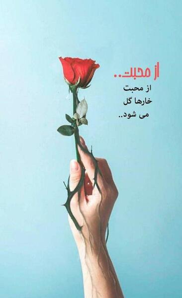 عکس بدون نوشته گل