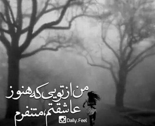 عکس نوشته من از تویی که هنوز عاشقتم متنفرم