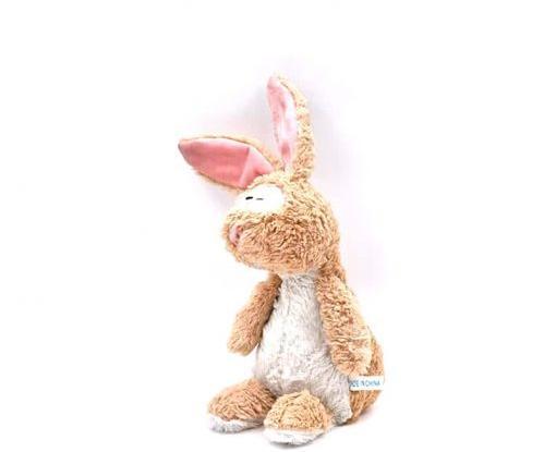 عکس میمون گوش دراز