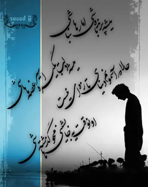 عکس نوشته میشه پرنده باشی اما رها نباشی